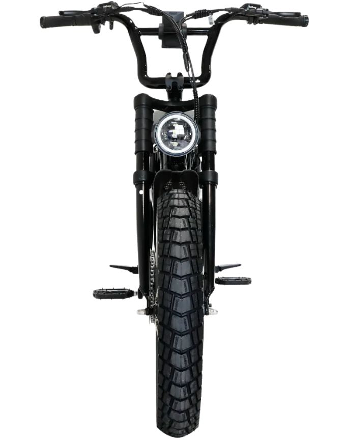 Fatboy DNA V Electric Bike | White Noise